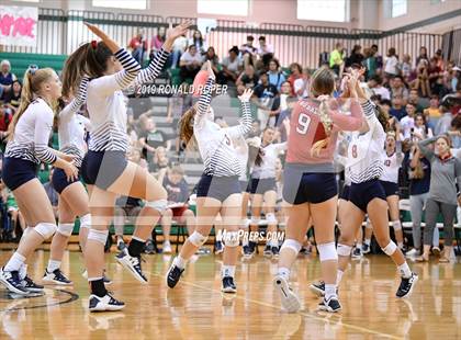 Thumbnail 1 in Aubrey @ Caddo Mills photogallery.