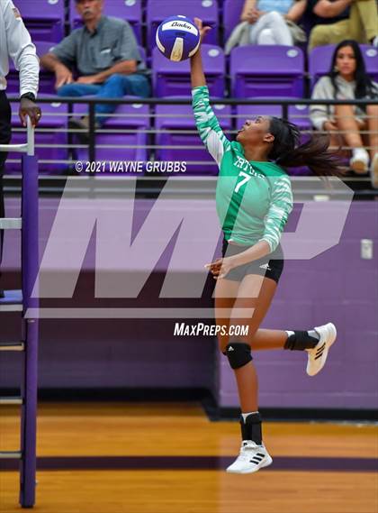 Thumbnail 1 in Tatum @ Hallsville photogallery.
