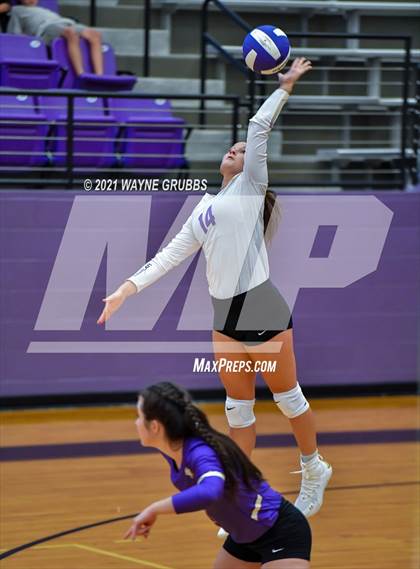 Thumbnail 1 in Tatum @ Hallsville photogallery.
