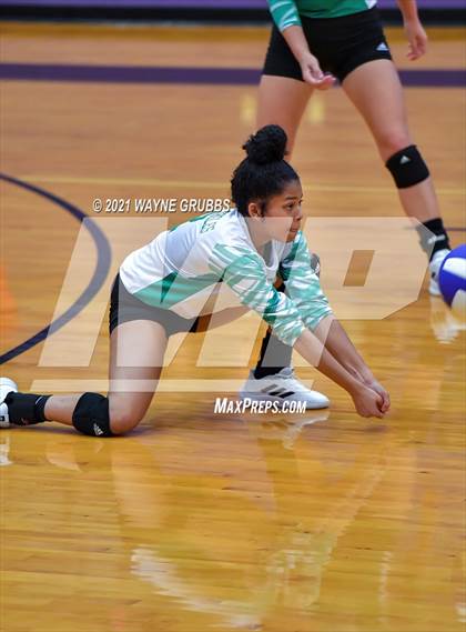 Thumbnail 1 in Tatum @ Hallsville photogallery.