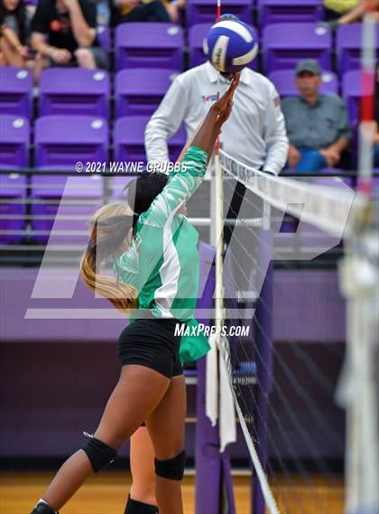 Thumbnail 3 in Tatum @ Hallsville photogallery.