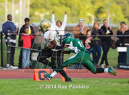 Thumbnail 1 in Longwood @ William Floyd photogallery.