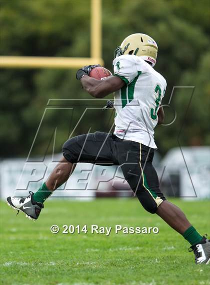 Thumbnail 1 in Longwood @ William Floyd photogallery.