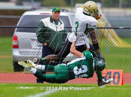 Thumbnail 1 in Longwood @ William Floyd photogallery.