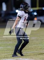 Photo from the gallery "Navarre @ Gulf Breeze"