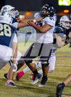Photo from the gallery "Navarre @ Gulf Breeze"