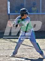 Photo from the gallery "Mora @ Penasco"