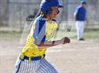 Photo from the gallery "Mora @ Penasco"