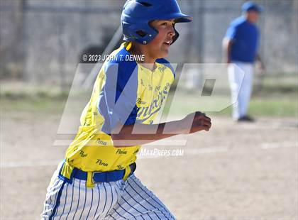 Thumbnail 2 in Mora @ Penasco photogallery.