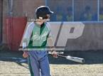 Photo from the gallery "Mora @ Penasco"