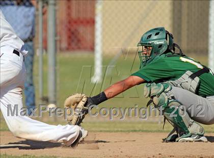 Thumbnail 1 in Davis @ Johansen photogallery.