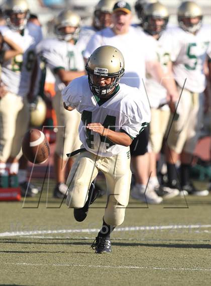 Thumbnail 3 in Temple City @ Hoover photogallery.