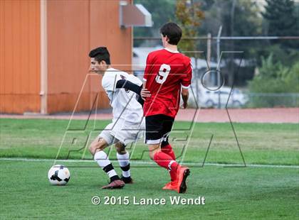 Thumbnail 1 in Pomona @ Chatfield photogallery.