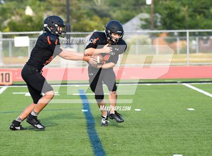 Thumbnail 3 in Arlington Heights @ Springtown photogallery.