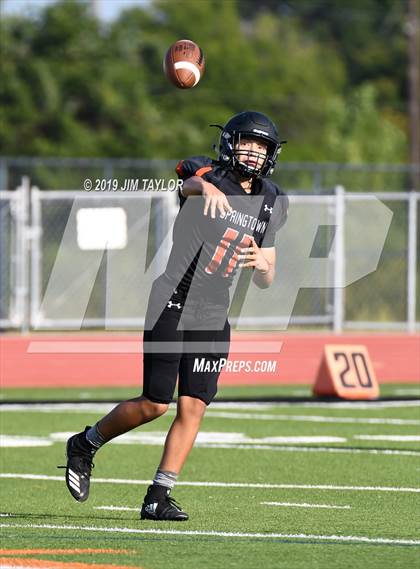 Thumbnail 3 in Arlington Heights @ Springtown photogallery.