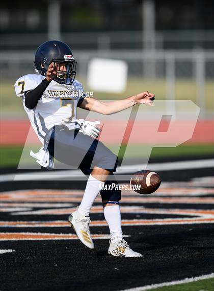 Thumbnail 3 in Arlington Heights @ Springtown photogallery.