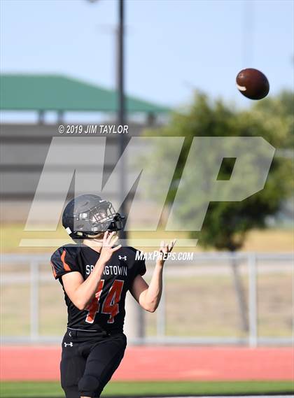 Thumbnail 1 in Arlington Heights @ Springtown photogallery.