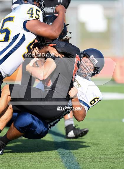 Thumbnail 1 in Arlington Heights @ Springtown photogallery.
