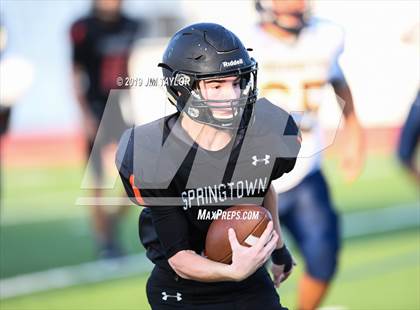 Thumbnail 2 in Arlington Heights @ Springtown photogallery.