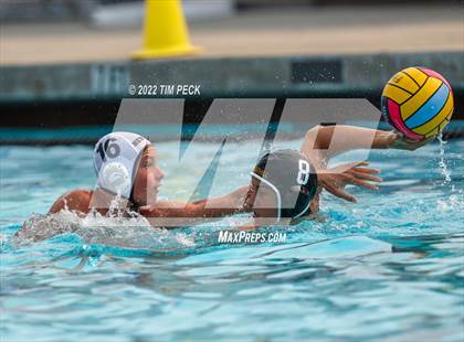 Thumbnail 3 in Newport Harbor @ Foothill photogallery.