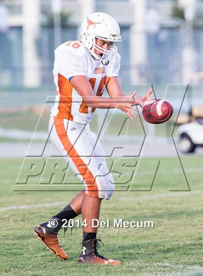 Thumbnail 3 in Lennard @ Newsome photogallery.
