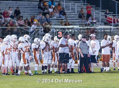Thumbnail 3 in Lennard @ Newsome photogallery.