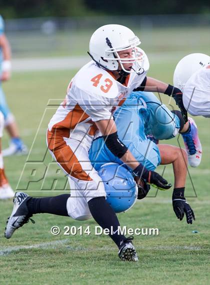 Thumbnail 1 in Lennard @ Newsome photogallery.