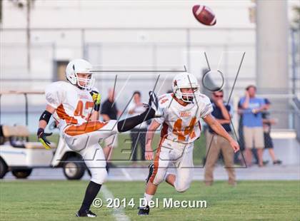 Thumbnail 3 in Lennard @ Newsome photogallery.