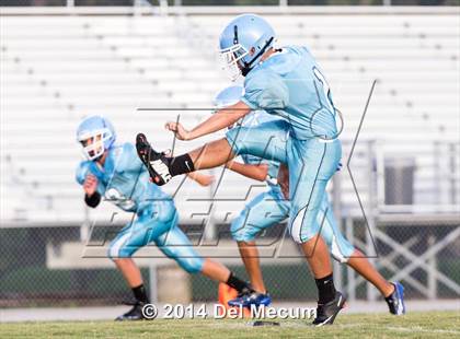 Thumbnail 3 in Lennard @ Newsome photogallery.
