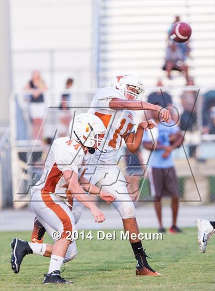 Thumbnail 2 in Lennard @ Newsome photogallery.