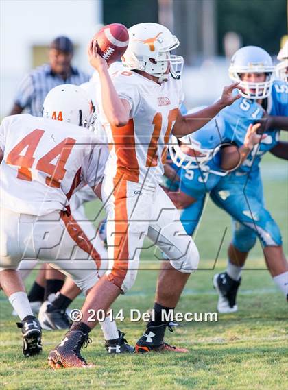 Thumbnail 2 in Lennard @ Newsome photogallery.