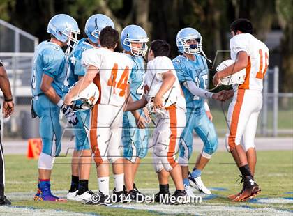 Thumbnail 1 in Lennard @ Newsome photogallery.