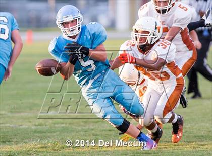Thumbnail 2 in Lennard @ Newsome photogallery.