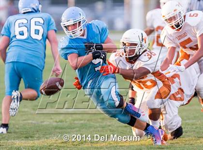 Thumbnail 3 in Lennard @ Newsome photogallery.