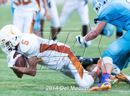Thumbnail 2 in Lennard @ Newsome photogallery.