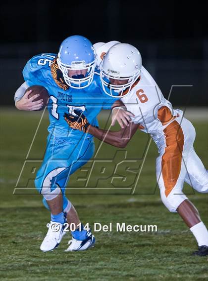 Thumbnail 2 in Lennard @ Newsome photogallery.