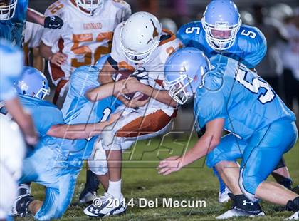 Thumbnail 3 in Lennard @ Newsome photogallery.