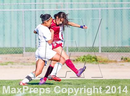 Thumbnail 1 in McClatchy @ Kennedy photogallery.