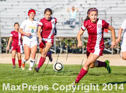 Thumbnail 1 in McClatchy @ Kennedy photogallery.