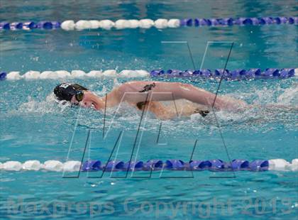 Thumbnail 2 in Brookfield @ Joel Barlow photogallery.