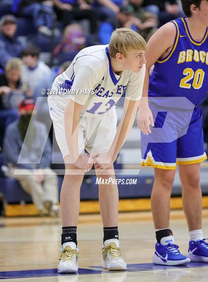 Thumbnail 1 in Brock @ Peaster photogallery.