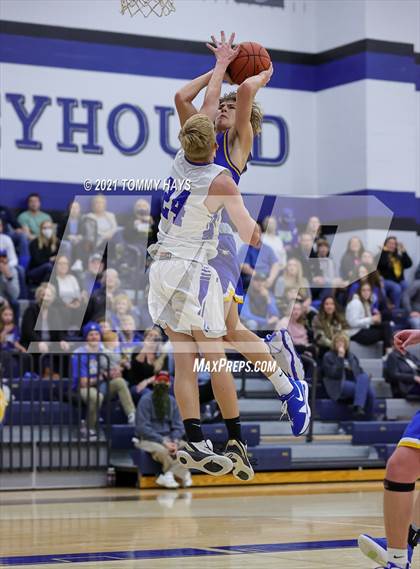 Thumbnail 1 in Brock @ Peaster photogallery.