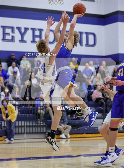 Thumbnail 1 in Brock @ Peaster photogallery.