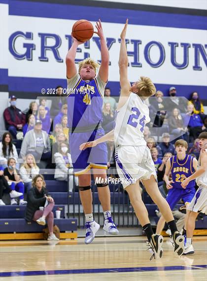 Thumbnail 1 in Brock @ Peaster photogallery.