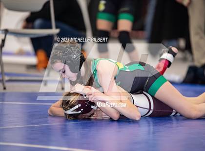 Thumbnail 1 in NYSPHSAA Girls Invitational (Round 1C)  photogallery.