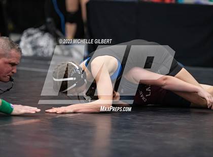 Thumbnail 1 in NYSPHSAA Girls Invitational (Round 1C)  photogallery.