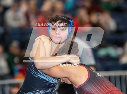 Thumbnail 3 in NYSPHSAA Girls Invitational (Round 1C)  photogallery.
