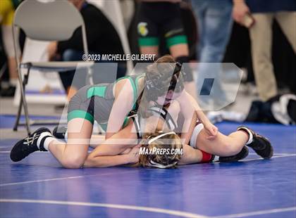Thumbnail 3 in NYSPHSAA Girls Invitational (Round 1C)  photogallery.