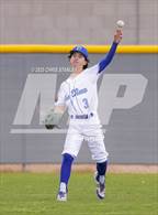 Photo from the gallery "Kofa @ Canyon View"