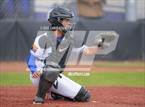 Photo from the gallery "Kofa @ Canyon View"